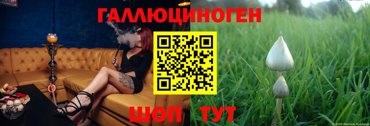 Галлюциногенные грибы MAGIC MUSHROOMS Красноярск